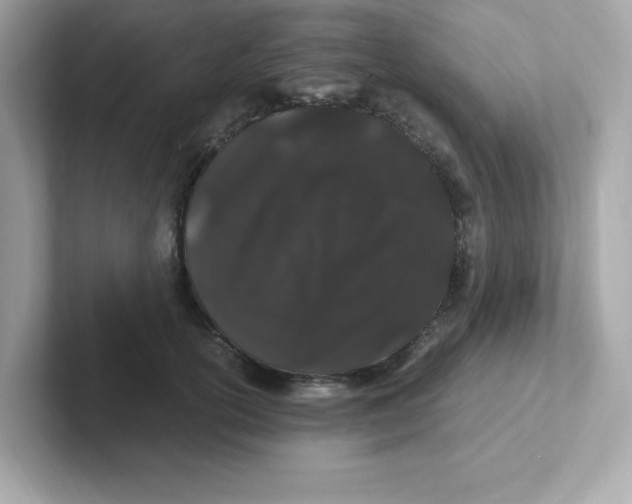X0000101100754200807241028