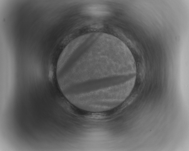X0000101100758200807241028