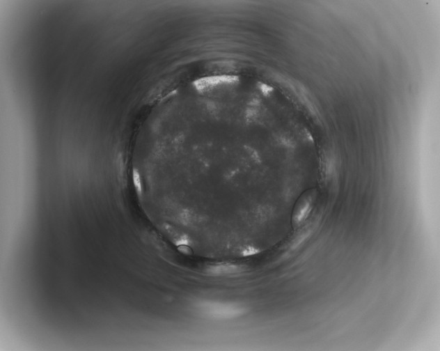 X0000101100759200807241028
