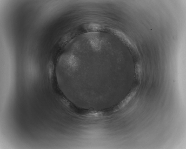 X0000101100760200807241028