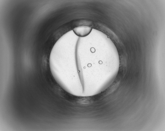 X0000101100761200807241028