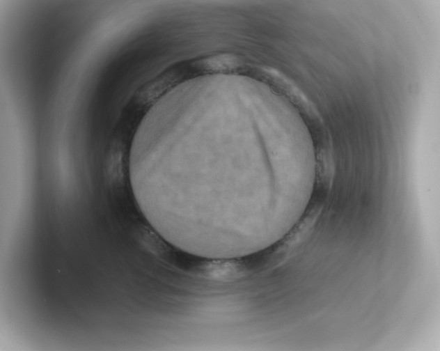 X0000101100762200807241028
