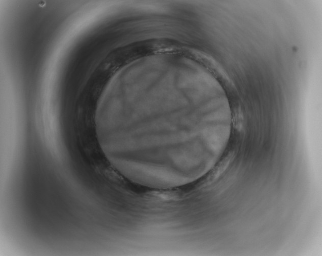 X0000101100763200807241028