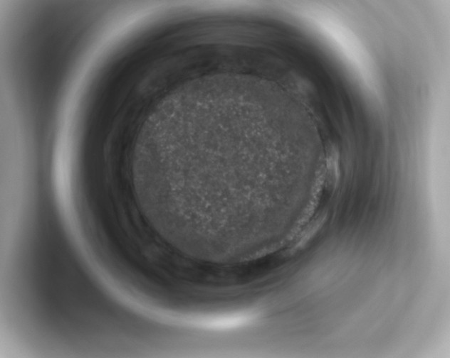 X0000101100765200807241028