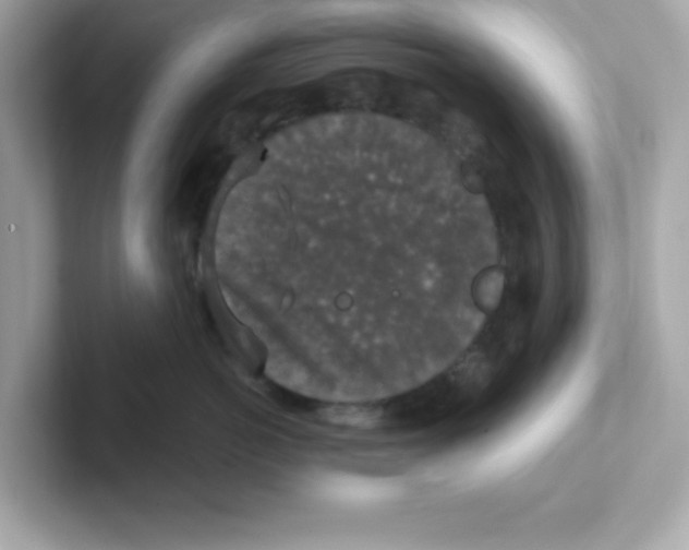X0000101100766200807241028