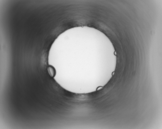 X0000101100768200807241028