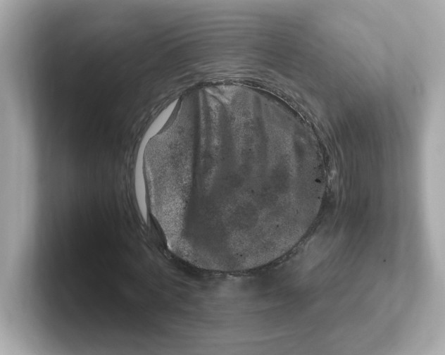 X0000101100772200807241027