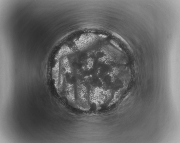 X0000101100775200807241027