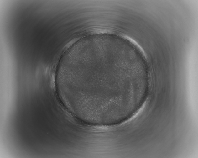 X0000101100777200807241027