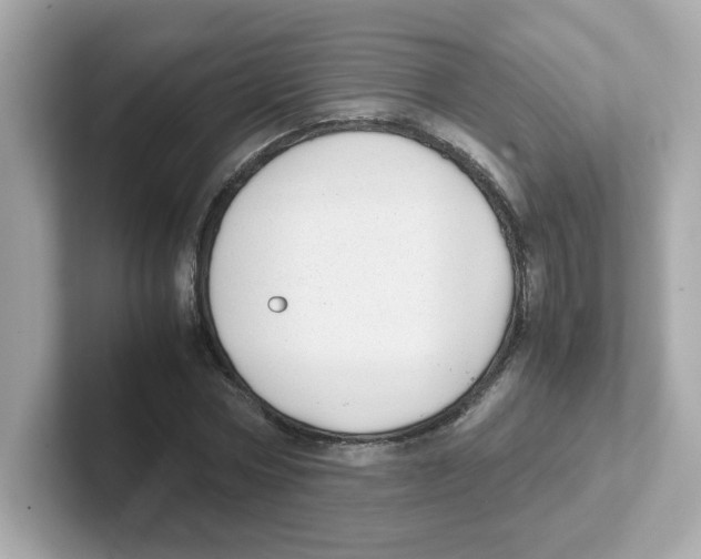X0000101100778200807241027