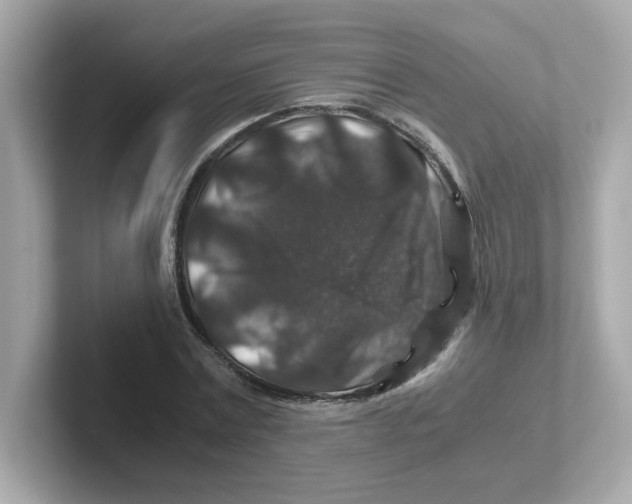 X0000101100779200807241027