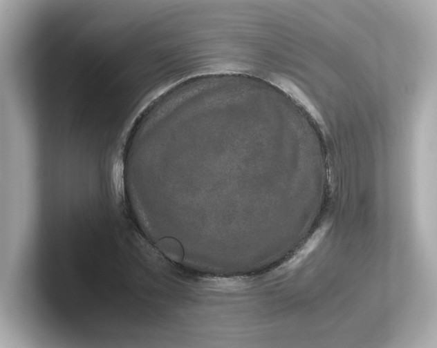 X0000101100781200807241027