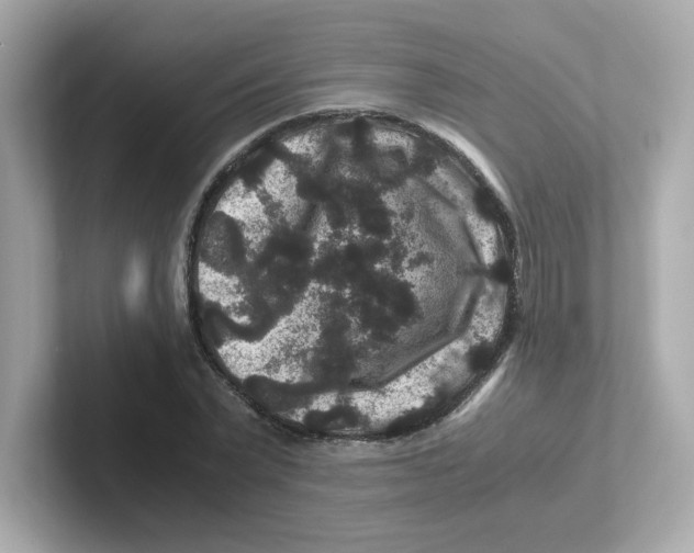 X0000101100783200807241027