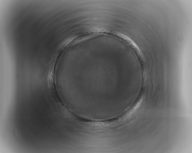 X0000101100785200807241027