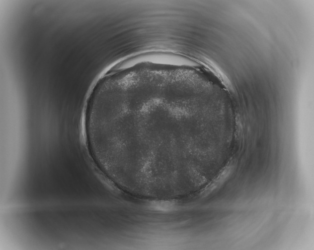 X0000101100788200807241027