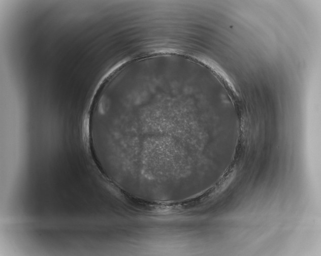 X0000101100790200807241027