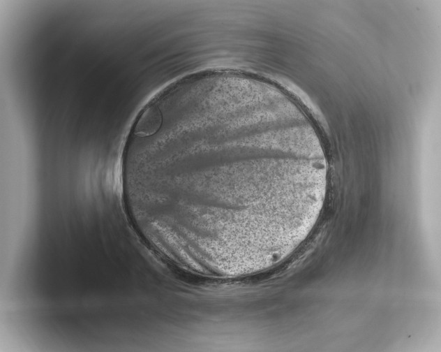 X0000101100791200807241027