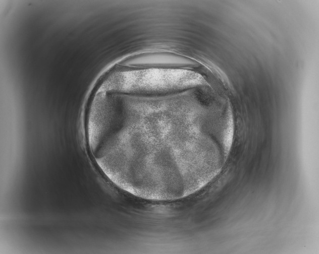 X0000101100792200807241027