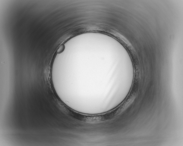 X0000101100793200807241027