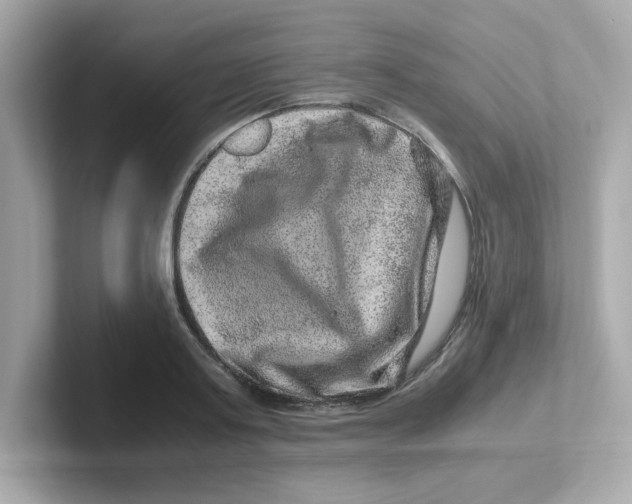 X0000101100795200807241027