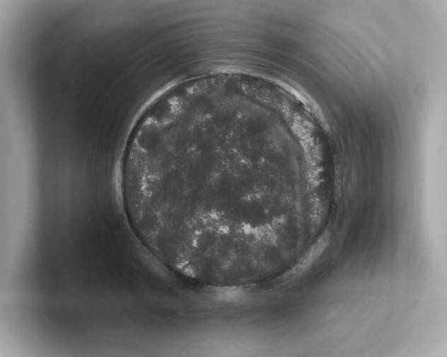 X0000101100798200807241027