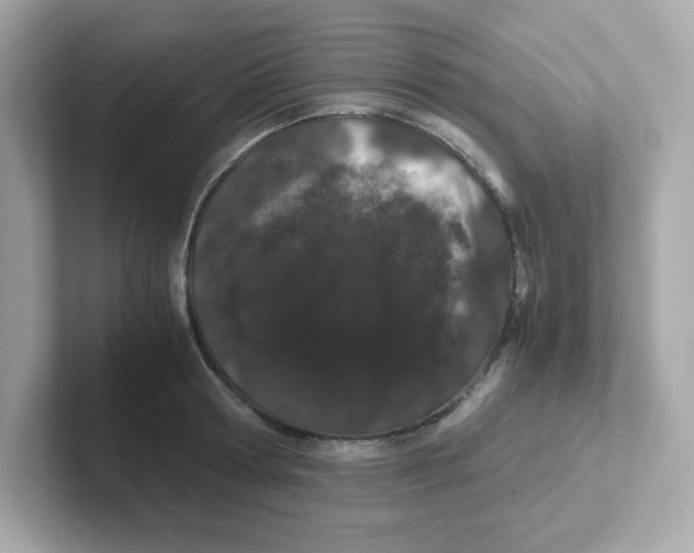 X0000101100802200807241027