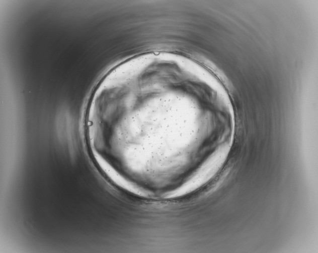 X0000101100803200807241027