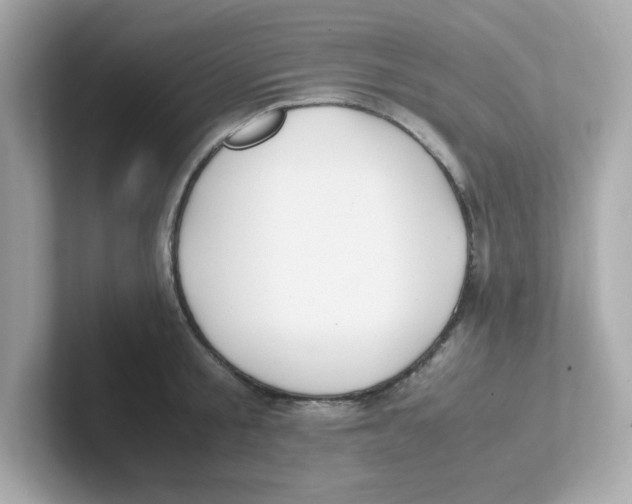 X0000101100805200807241027