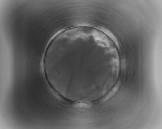 X0000101100806200807241027