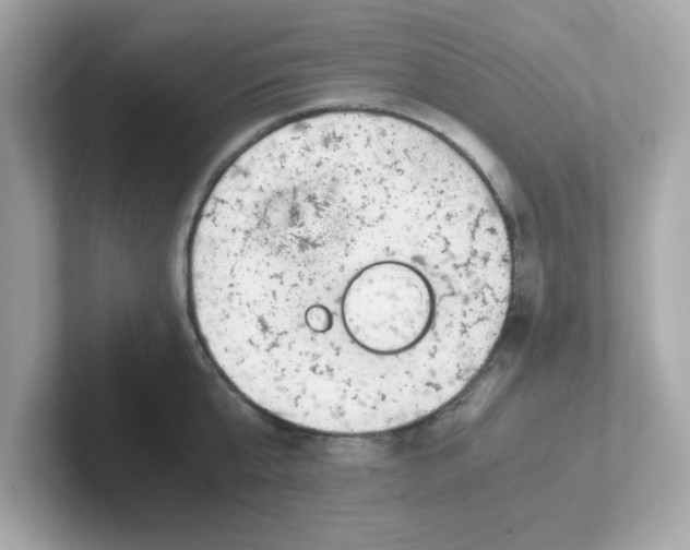 X0000101100807200807241027