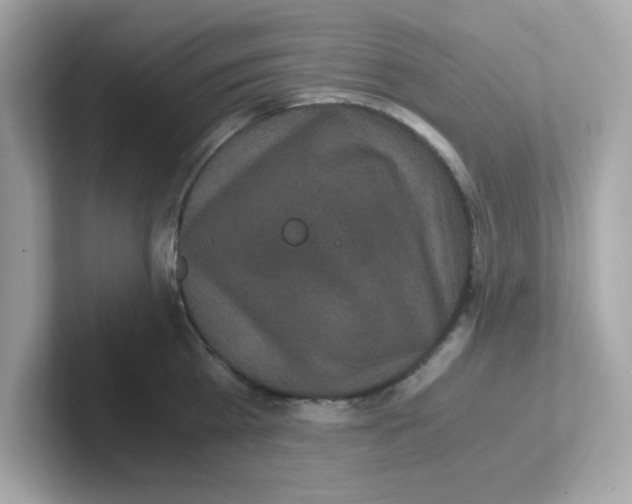 X0000101100809200807241027