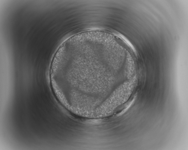 X0000101100810200807241027