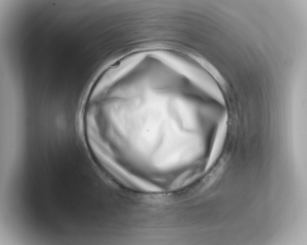 X0000101100813200807241027