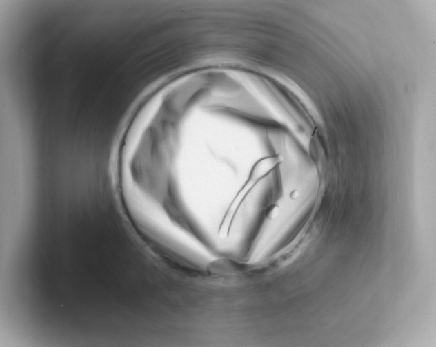 X0000101100815200807241026