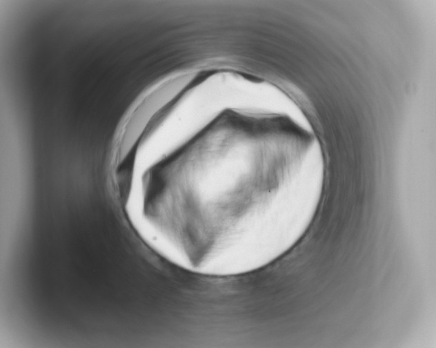 X0000101100816200807241026
