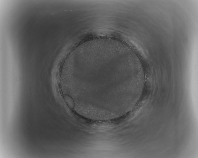 X0000101100817200807241026