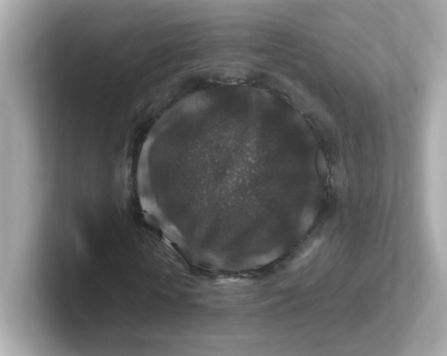 X0000101100818200807241026