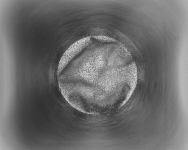 X0000101100819200807241026