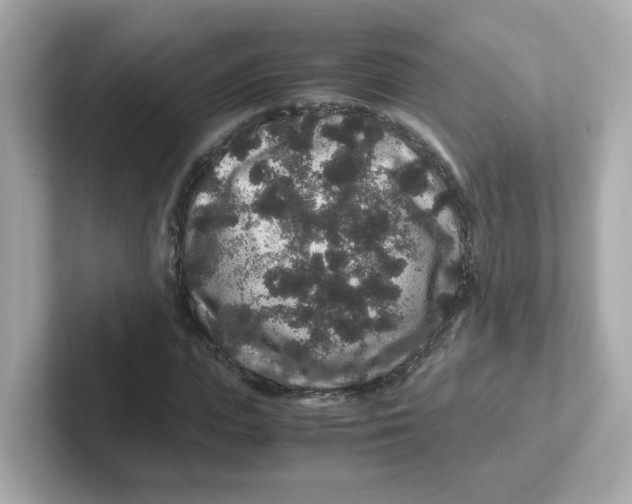 X0000101100823200807241026