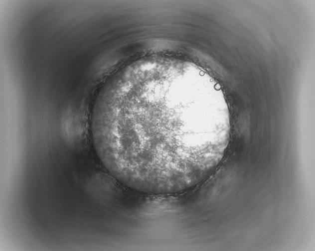 X0000101100824200807241026