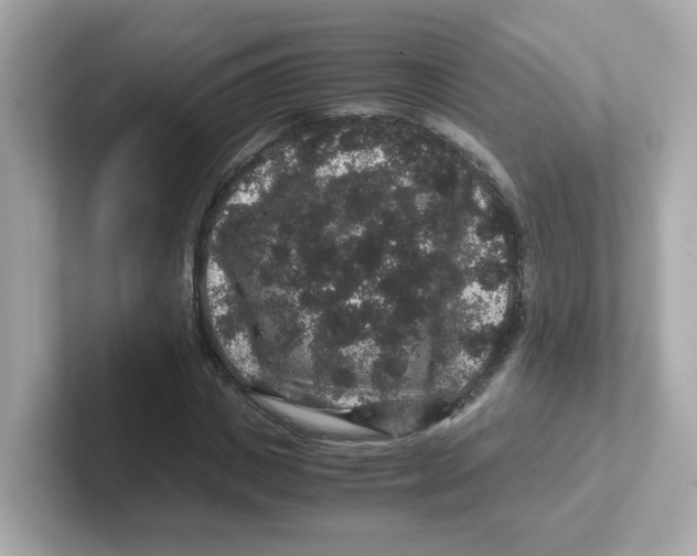 X0000101100825200807241026