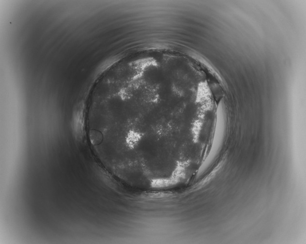 X0000101100826200807241026
