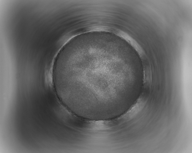 X0000101100828200807241026
