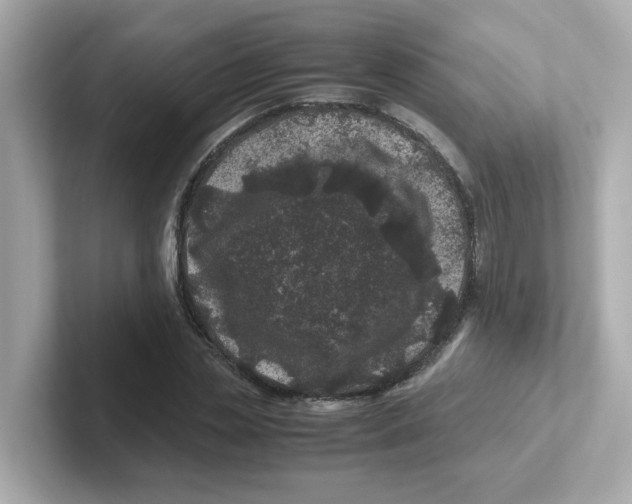 X0000101100829200807241026