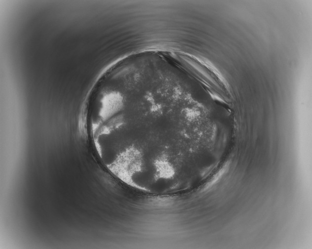 X0000101100830200807241026