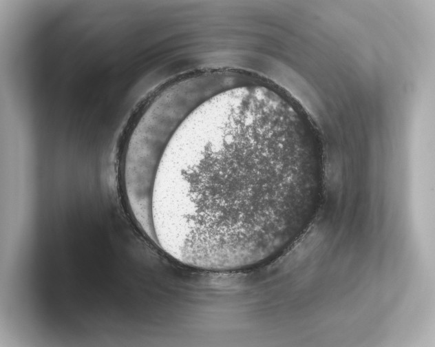 X0000101100832200807241026