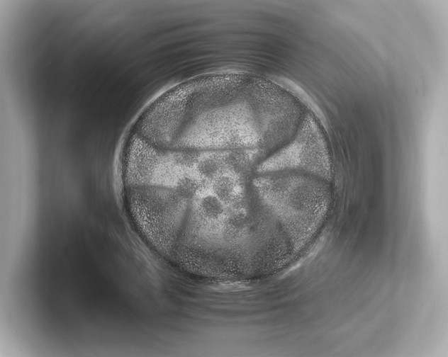 X0000101100835200807241026