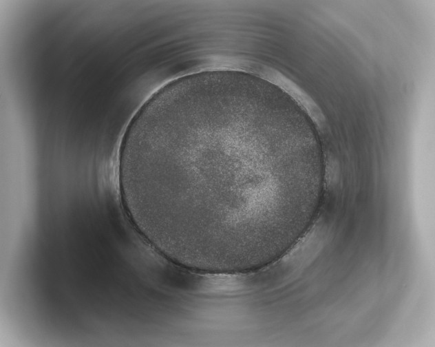 X0000101100836200807241026