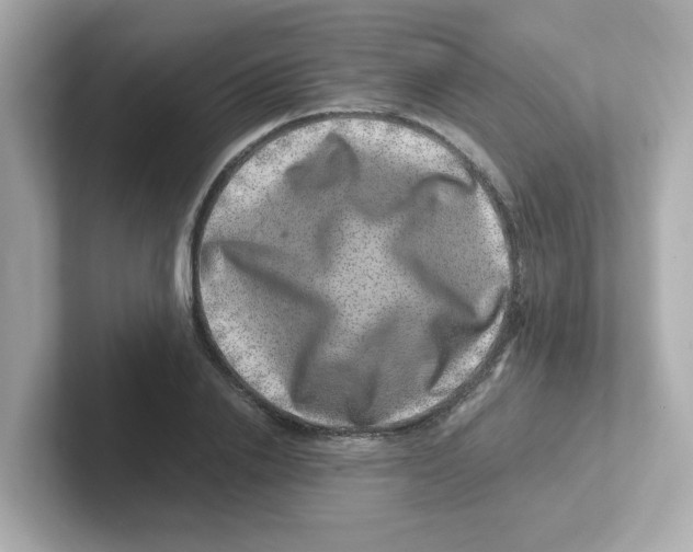 X0000101100838200807241026