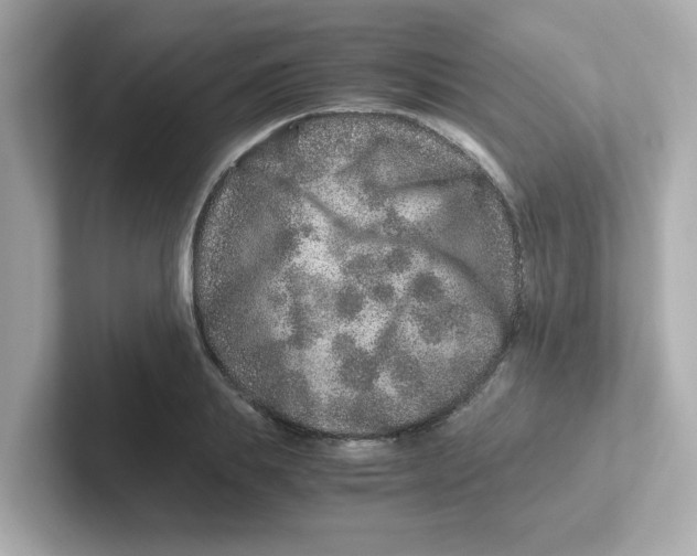 X0000101100839200807241026
